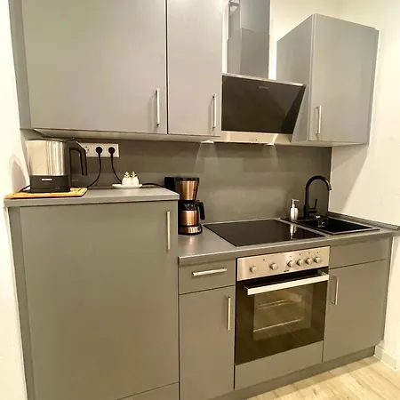 Apartment Goldstadt Grand Suite- Zentrum