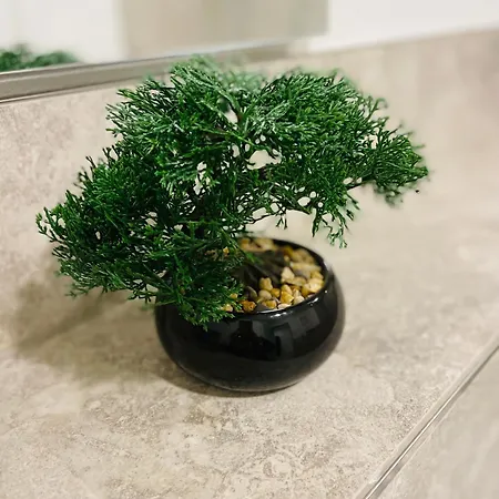 Goldstadt Grand Suite- Zentrum *